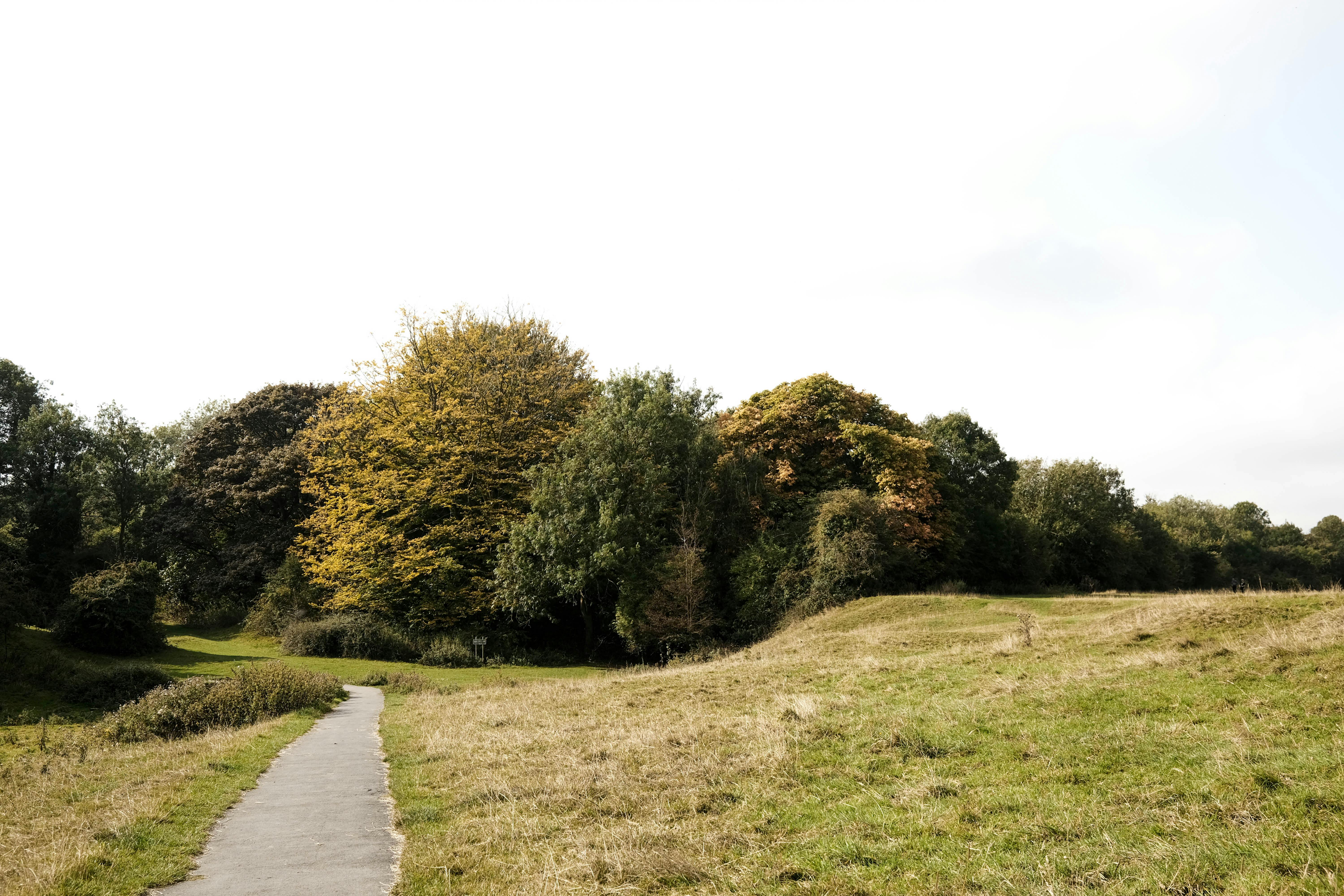 Publication d’annonces de terrains